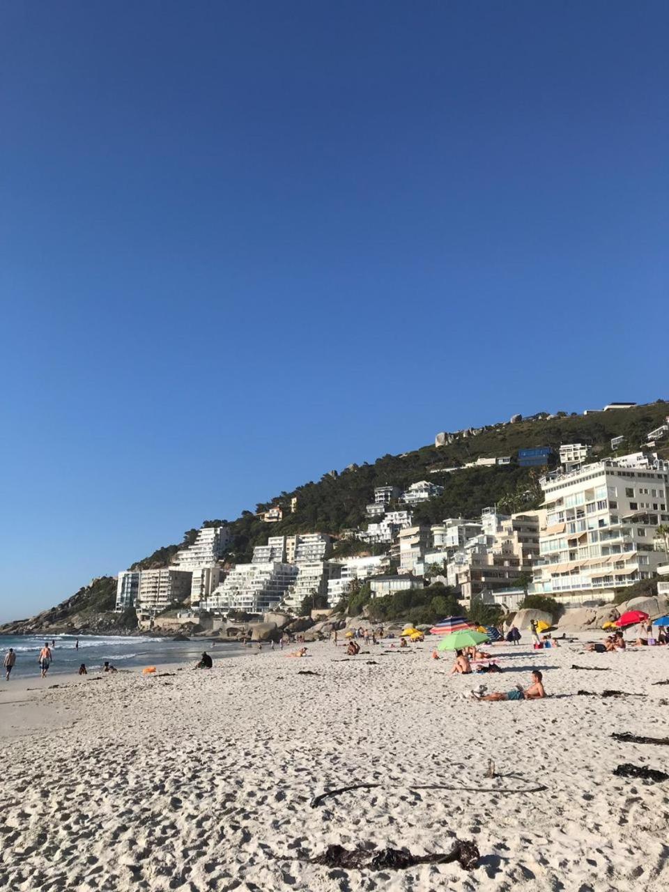 A Sunflower Stop Backpackers Cape Town Bagian luar foto